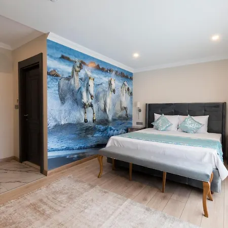 住宿加早餐酒店 Florya Novi 3*